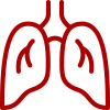 Respiratory Equipment Icon